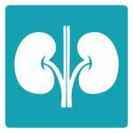 Nephrology